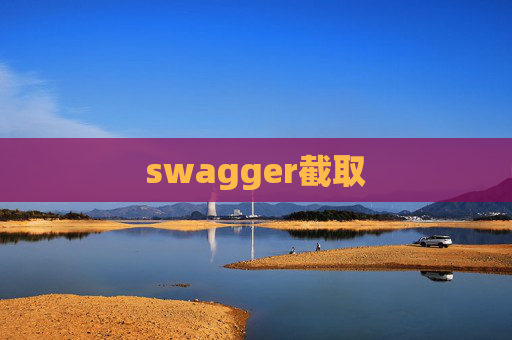 swagger截取